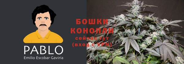 сатива Костерёво