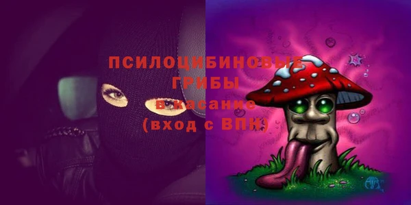 сатива Костерёво