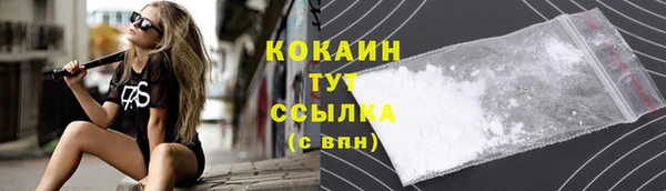 сатива Костерёво