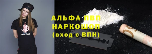 СК Корсаков