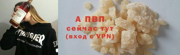 сатива Костерёво