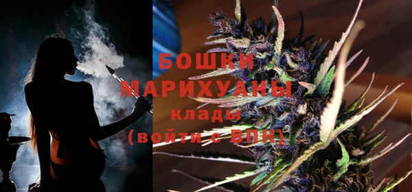 сатива Костерёво