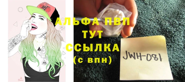 сатива Костерёво